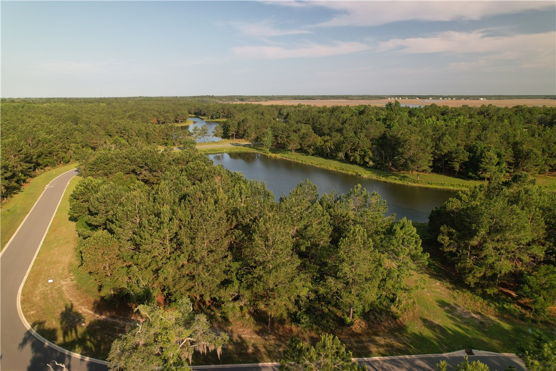 Lot 547 Beacon Pointe Parkway Waverly, GA 31565 - Photo 8 of 16