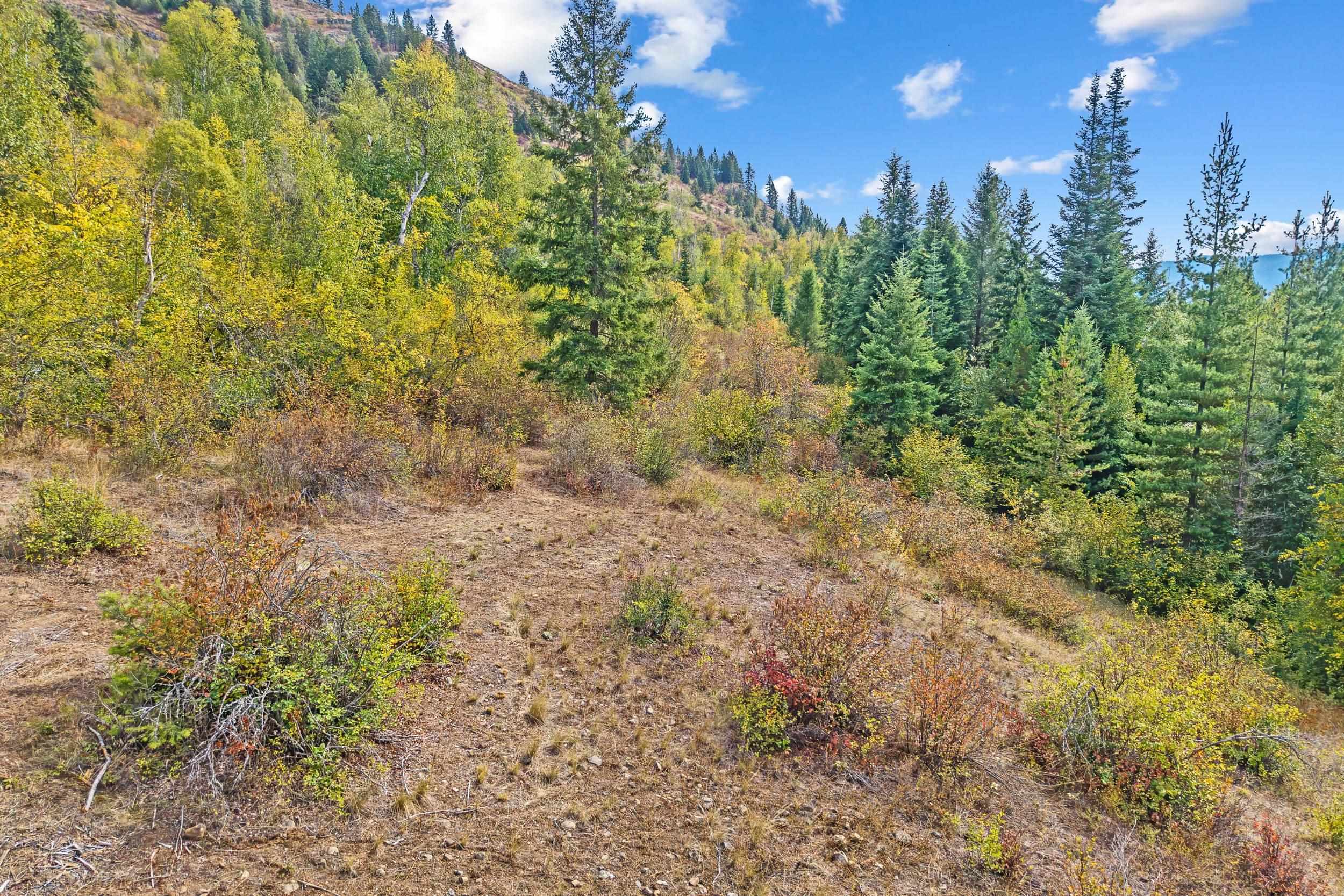 452 Catamount Ridge Lane Ione, WA 99139 - Photo 14 of 47 Gallery Image 14