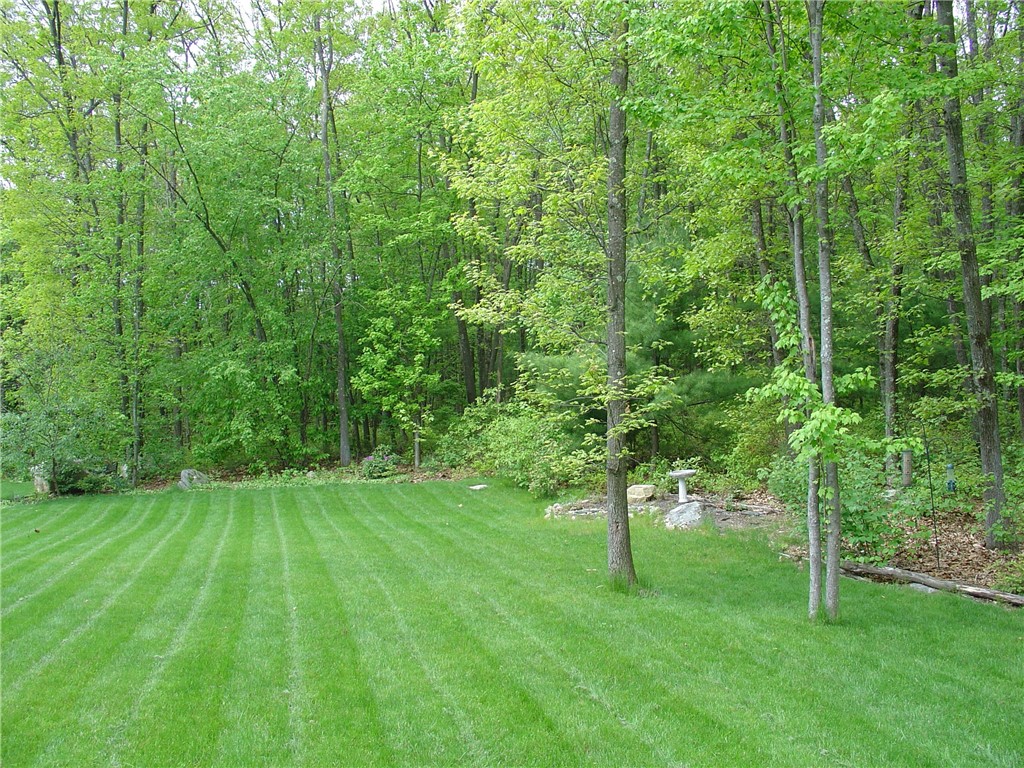 45 Old Sayles Hill Road North Smithfield, RI 02896 - Photo 13 of 14 Backyard