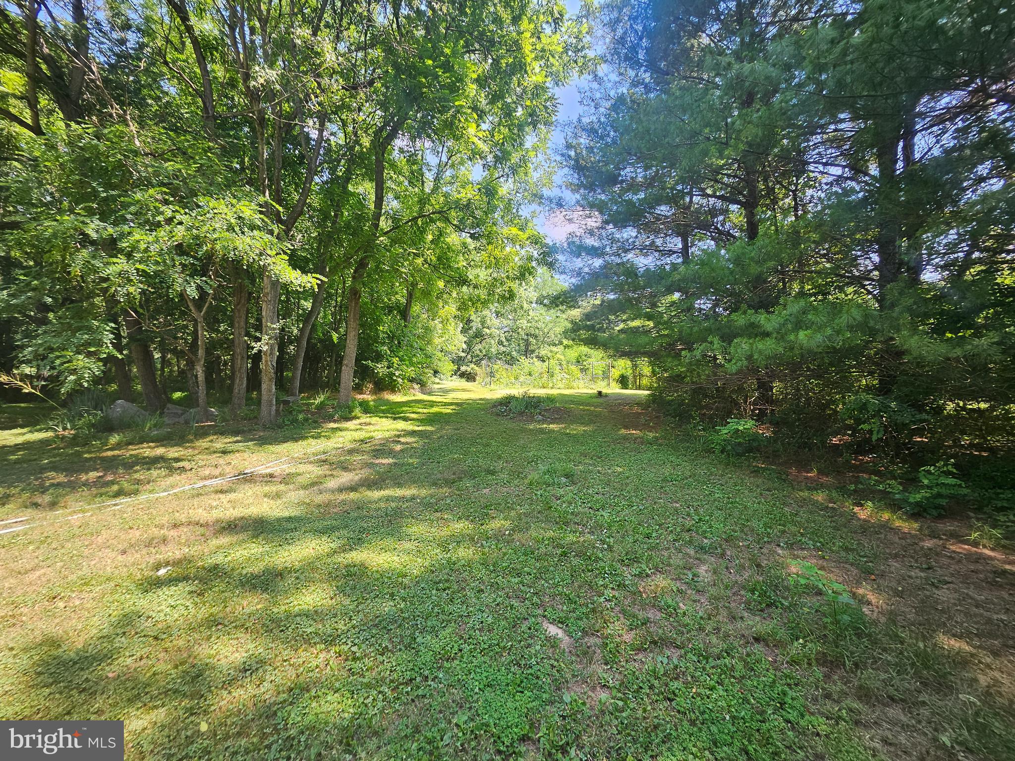 1918 Senseny Road Berryville, VA 22611 - Photo 37 of 58