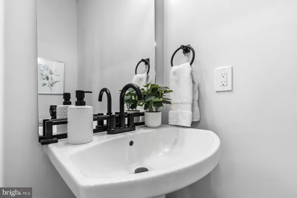 a bathroom with a sink and a potted plant