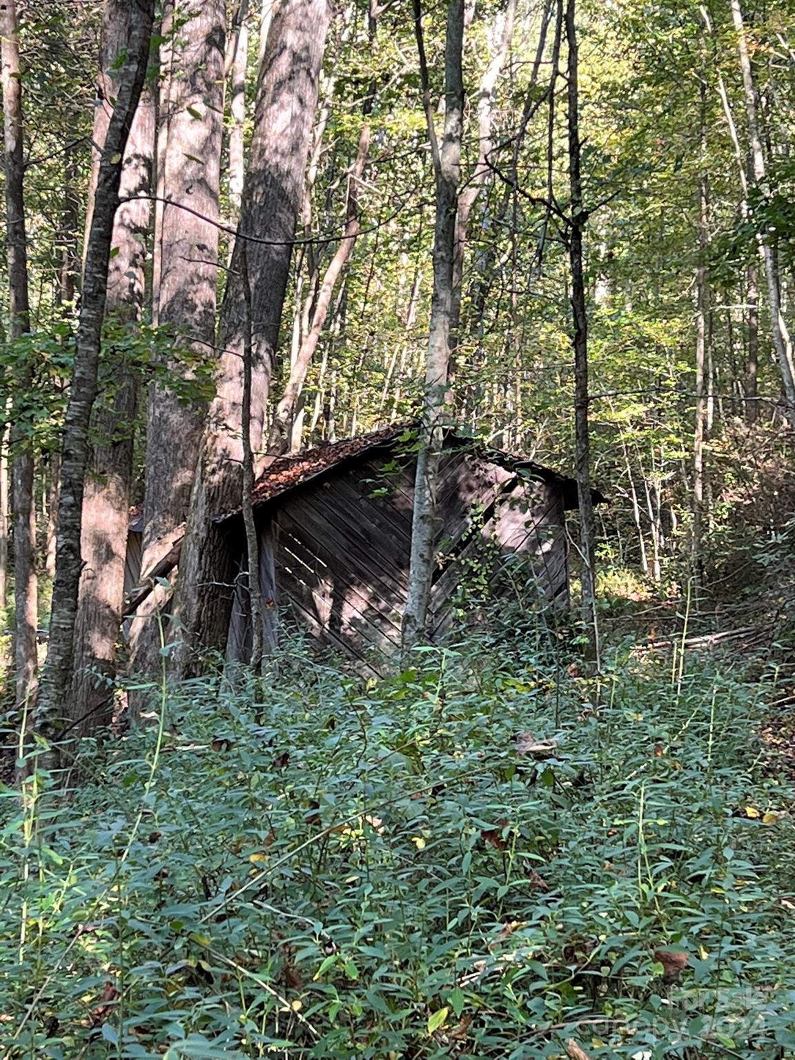 6786 Old Linville Road Marion, NC 28752 - Photo 11 of 33