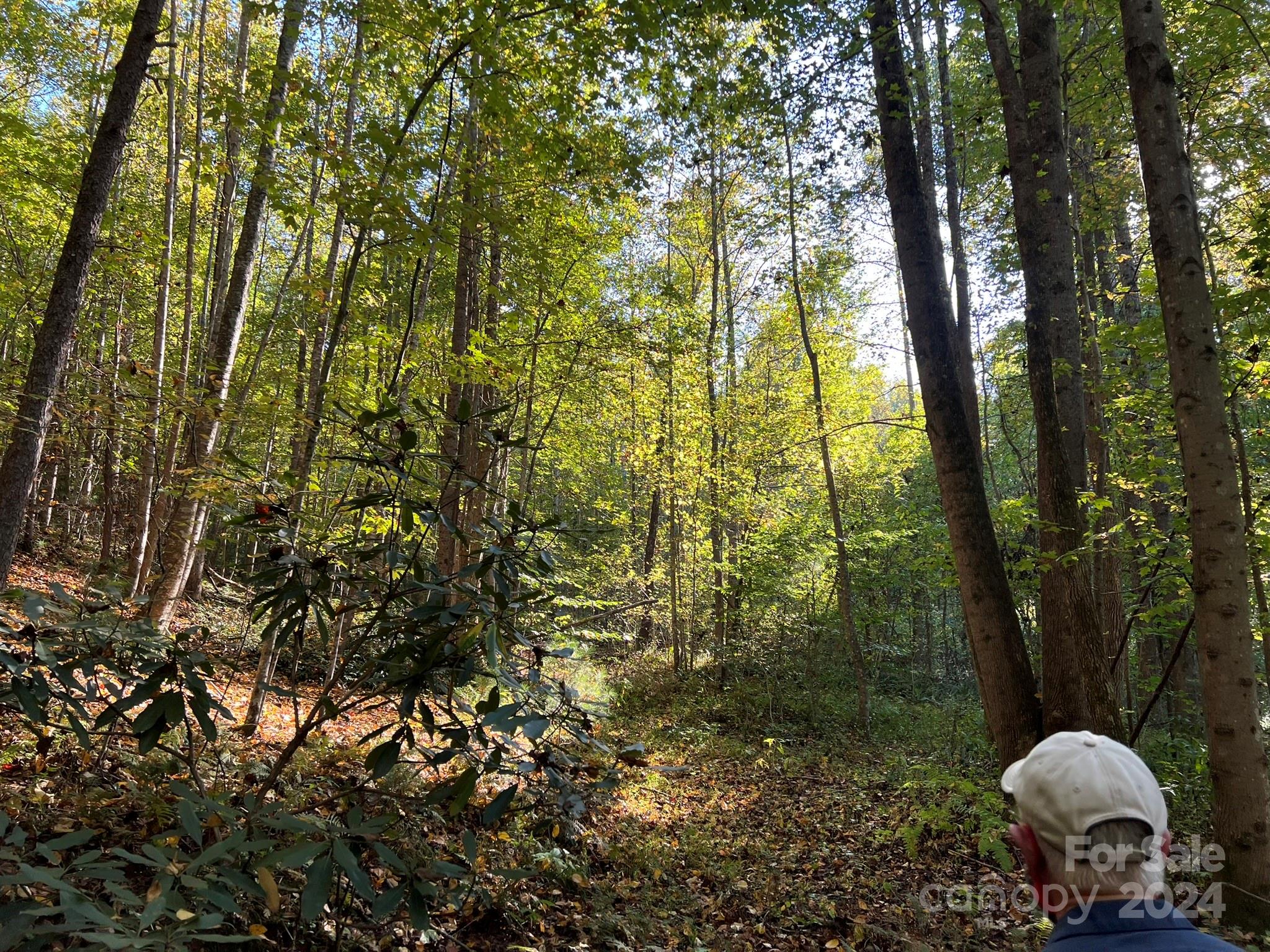 6786 Old Linville Road Marion, NC 28752 - Photo 12 of 33