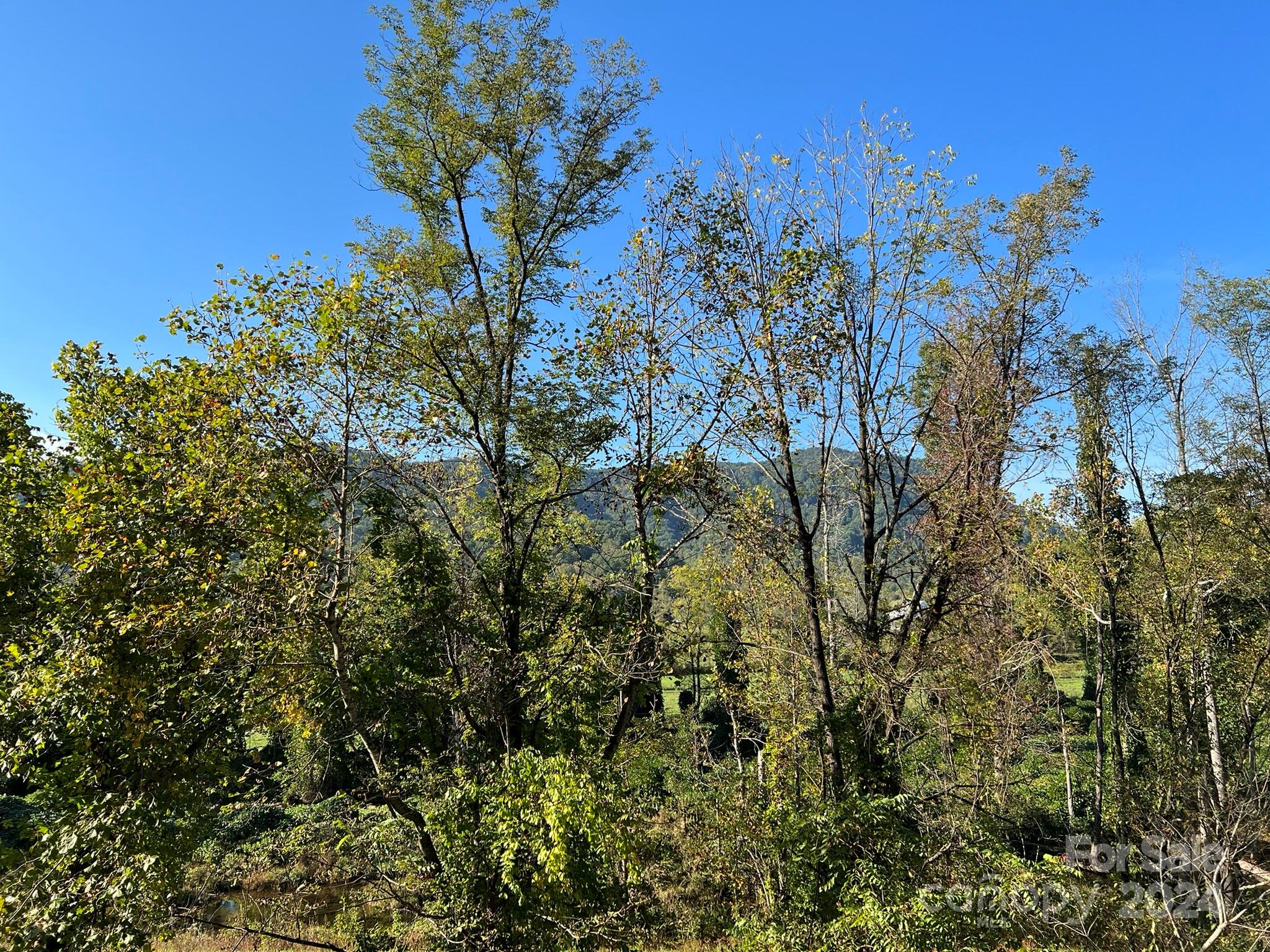 6786 Old Linville Road Marion, NC 28752 - Photo 13 of 33