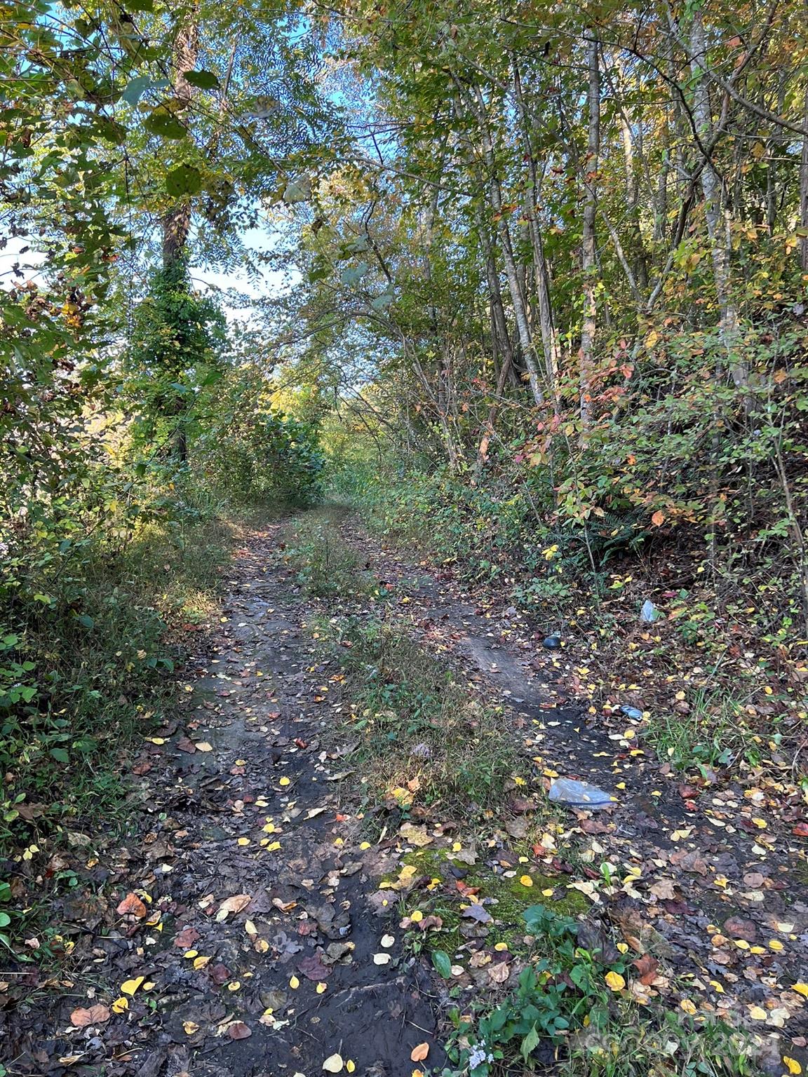 6786 Old Linville Road Marion, NC 28752 - Photo 16 of 33