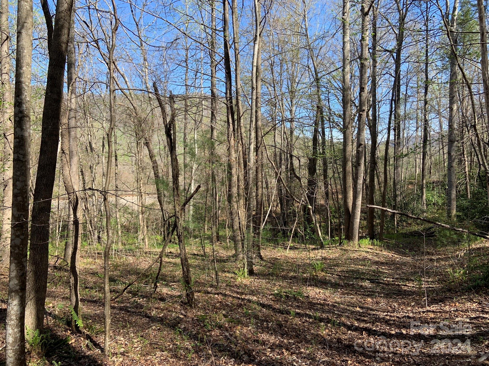 6786 Old Linville Road Marion, NC 28752 - Photo 17 of 33