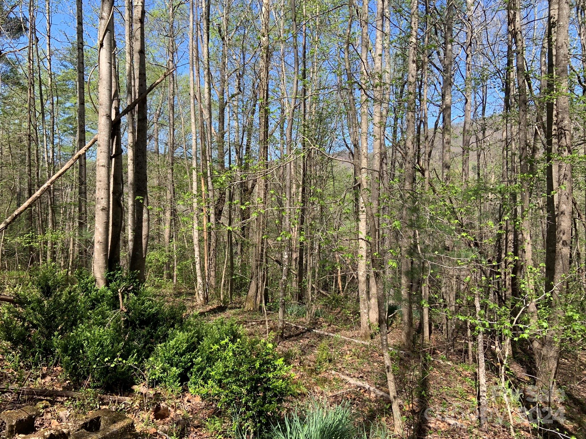 6786 Old Linville Road Marion, NC 28752 - Photo 18 of 33