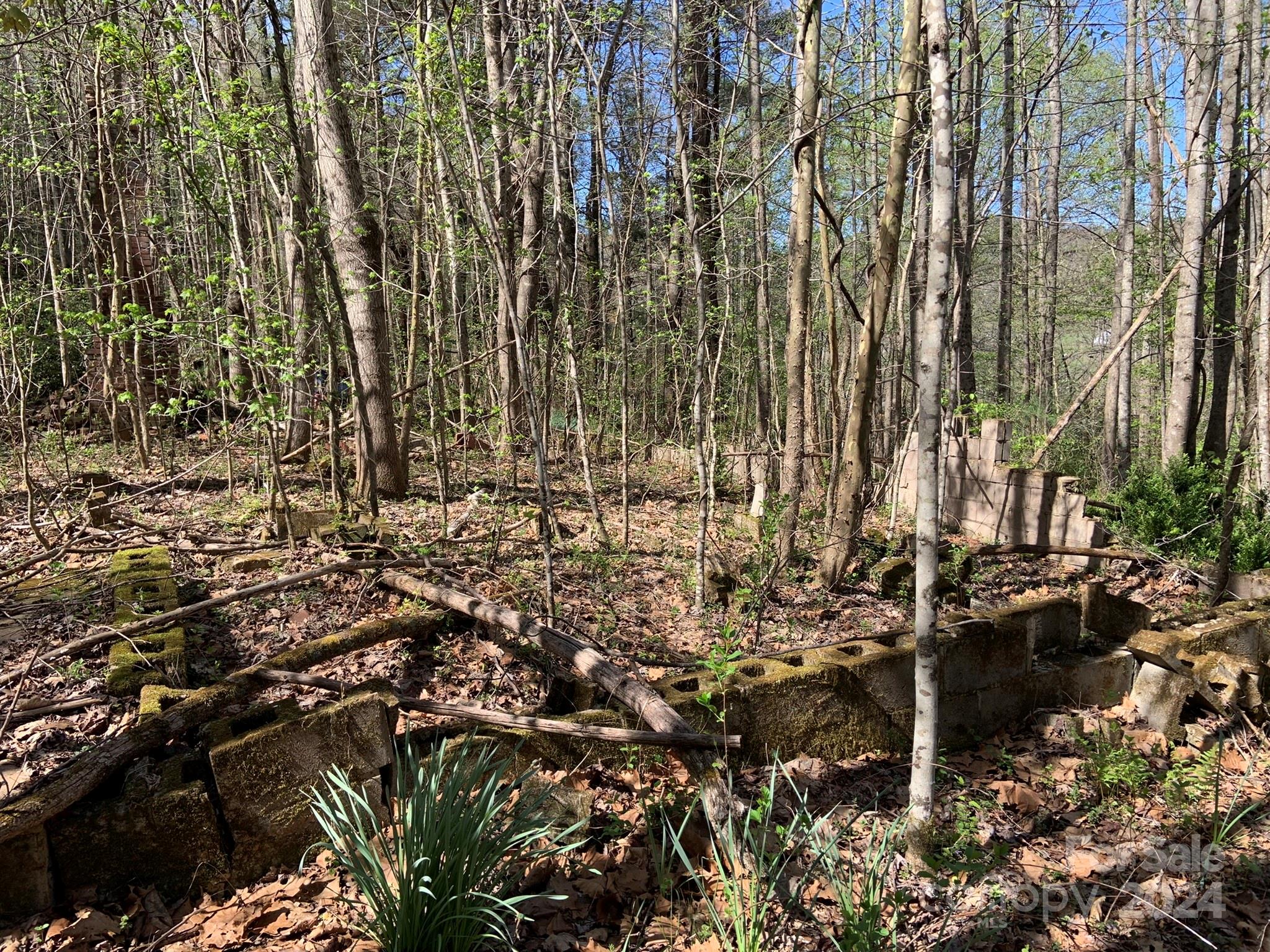 6786 Old Linville Road Marion, NC 28752 - Photo 19 of 33