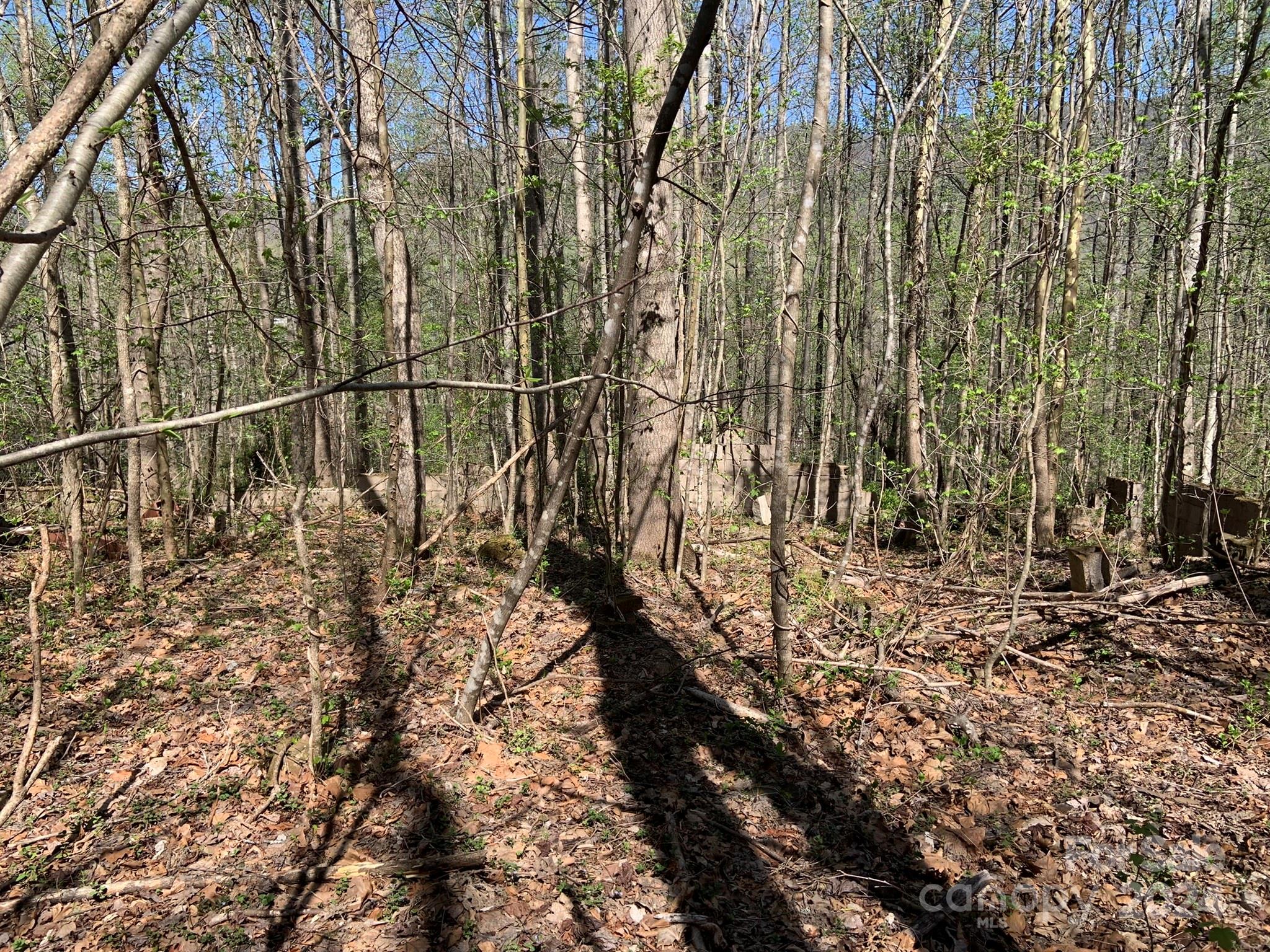 6786 Old Linville Road Marion, NC 28752 - Photo 20 of 33