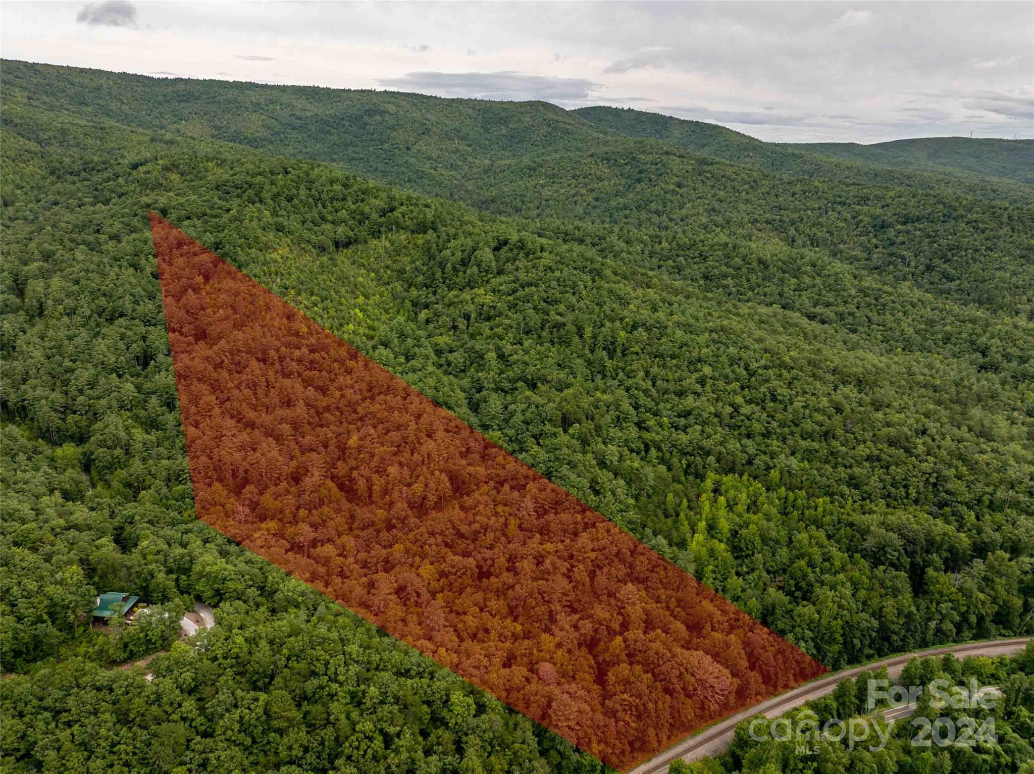 6786 Old Linville Road Marion, NC 28752 - Photo 2 of 33