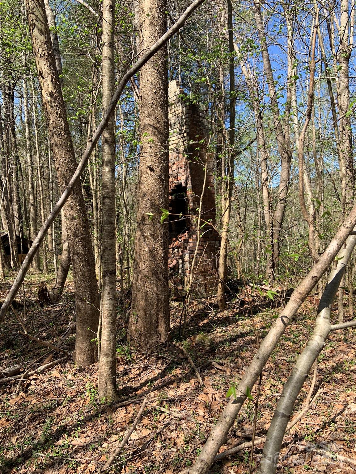 6786 Old Linville Road Marion, NC 28752 - Photo 22 of 33