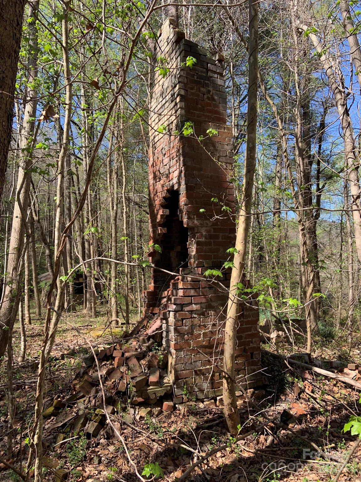 6786 Old Linville Road Marion, NC 28752 - Photo 23 of 33