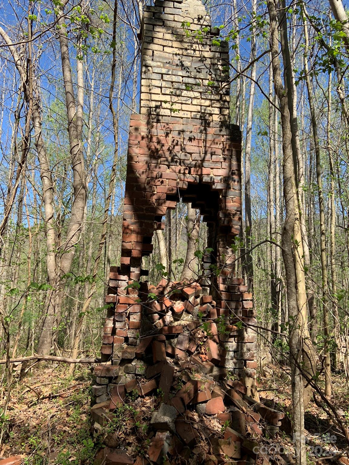 6786 Old Linville Road Marion, NC 28752 - Photo 24 of 33