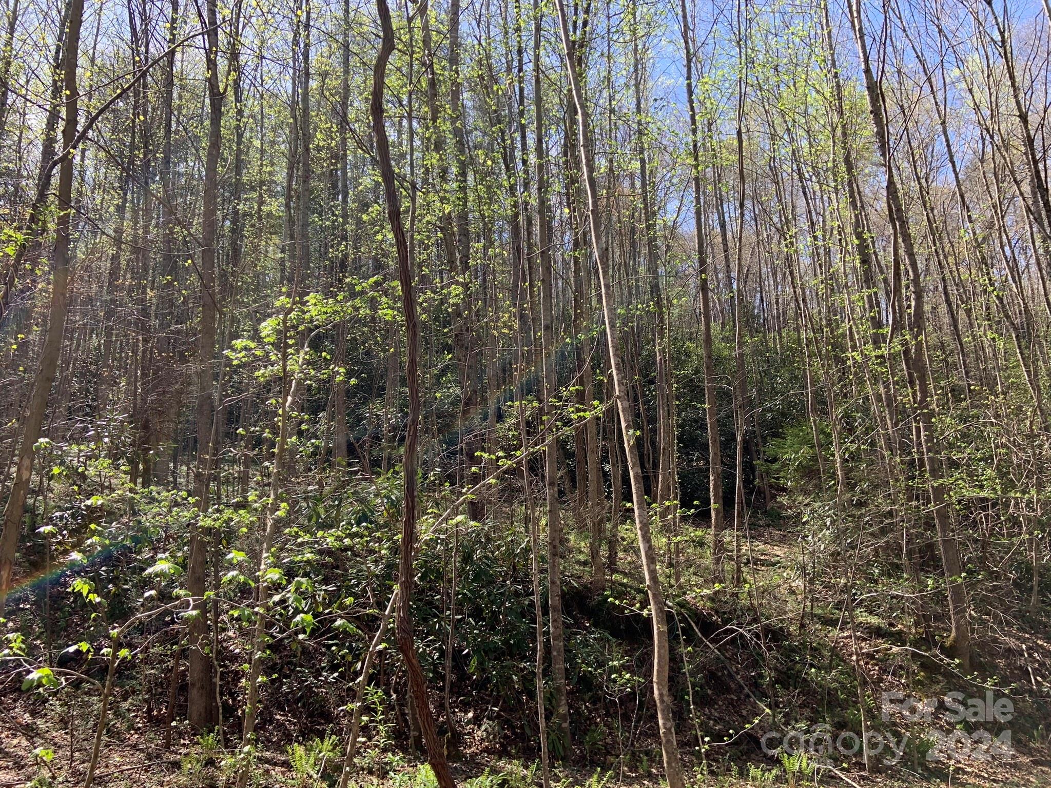 6786 Old Linville Road Marion, NC 28752 - Photo 25 of 33