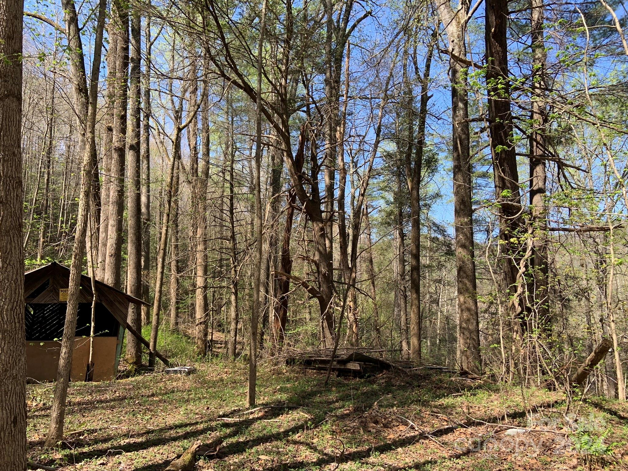 6786 Old Linville Road Marion, NC 28752 - Photo 26 of 33