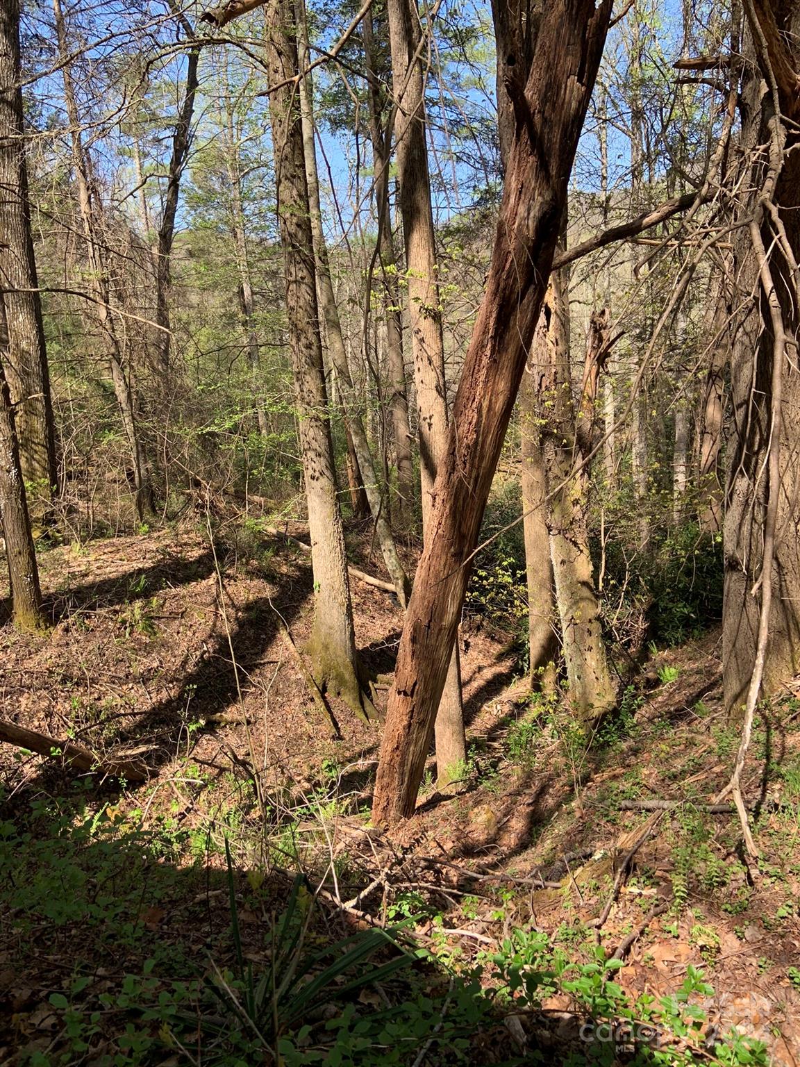 6786 Old Linville Road Marion, NC 28752 - Photo 28 of 33