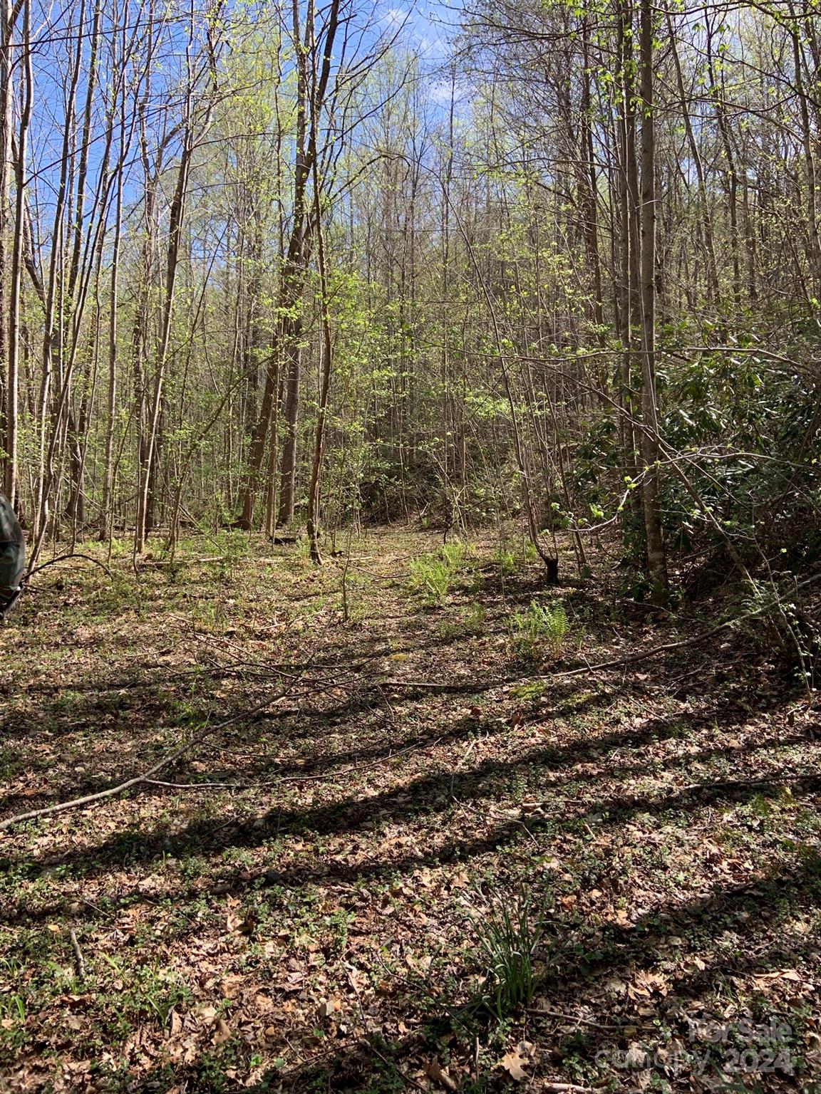 6786 Old Linville Road Marion, NC 28752 - Photo 30 of 33