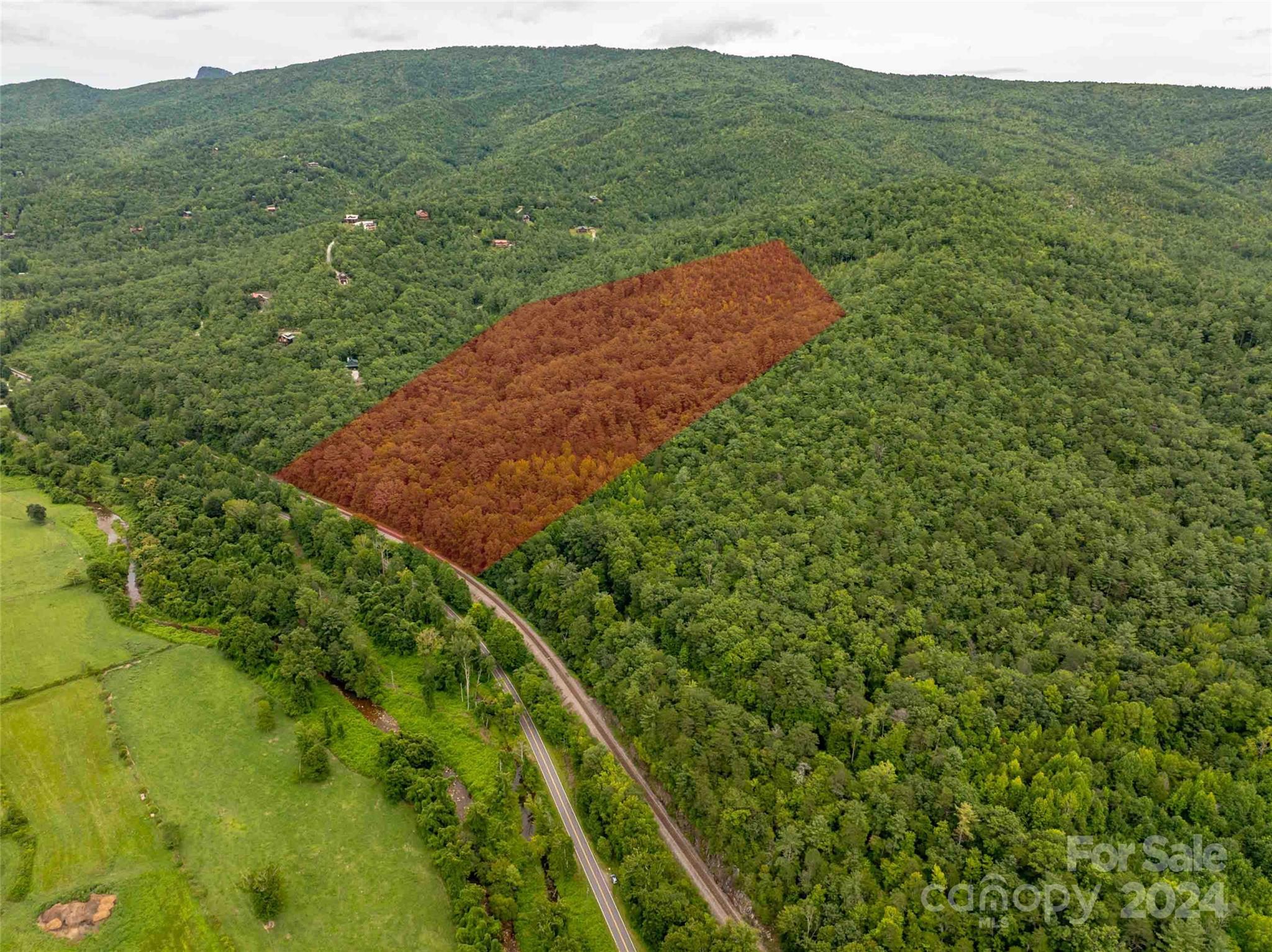 6786 Old Linville Road Marion, NC 28752 - Photo 3 of 33