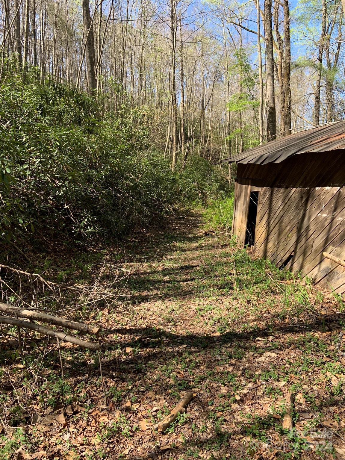6786 Old Linville Road Marion, NC 28752 - Photo 31 of 33