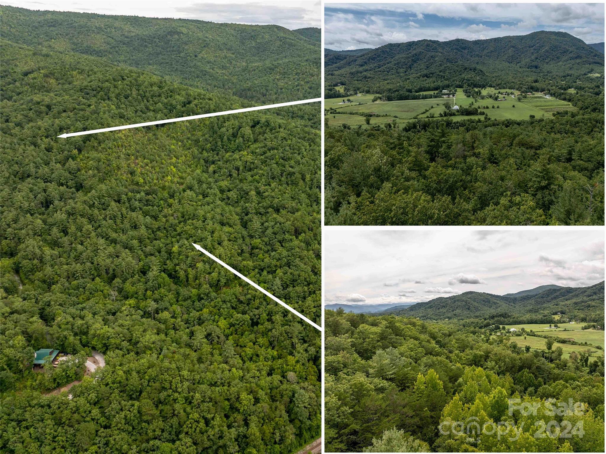 6786 Old Linville Road Marion, NC 28752 - Photo 4 of 33