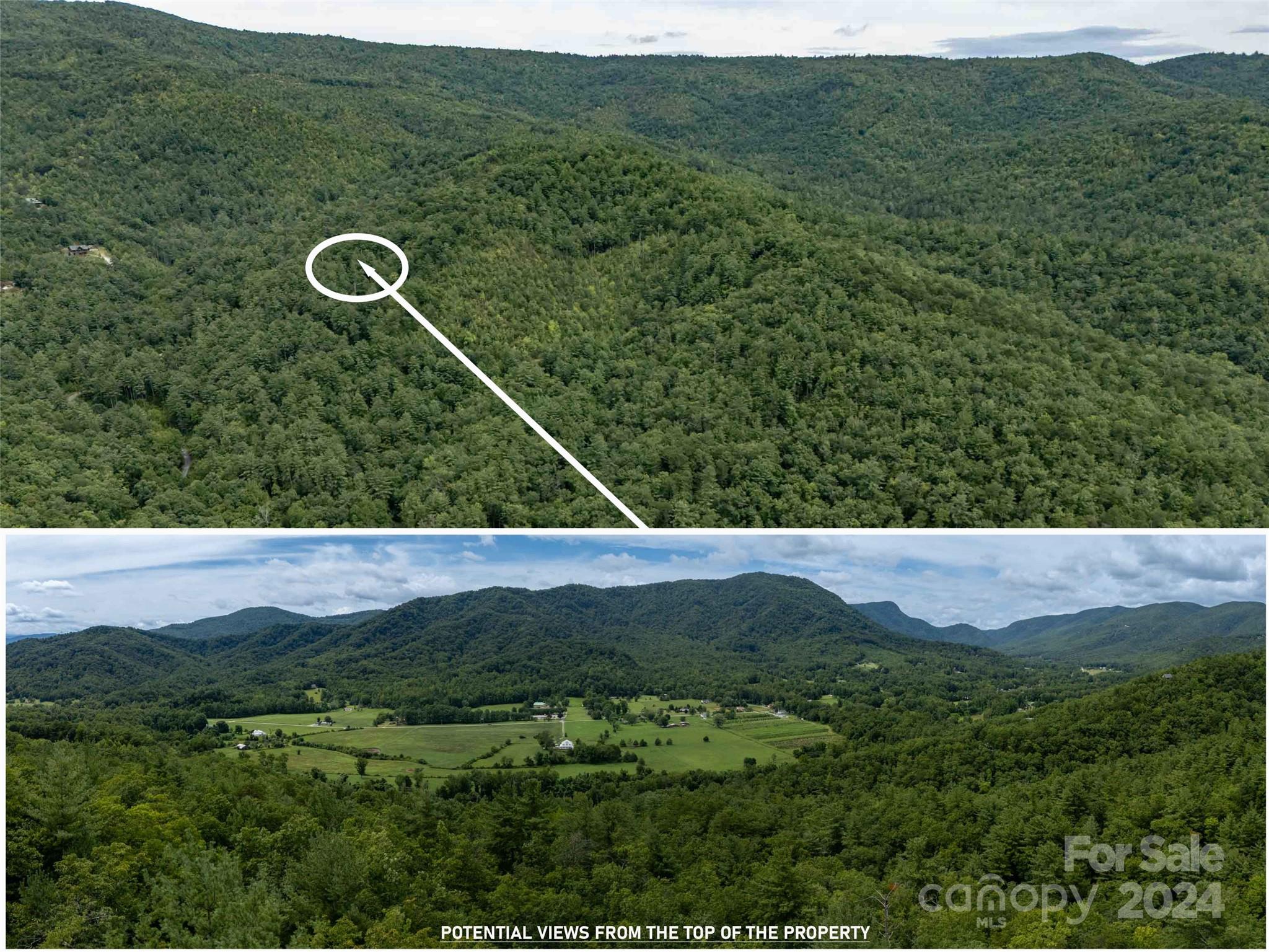 6786 Old Linville Road Marion, NC 28752 - Photo 5 of 33