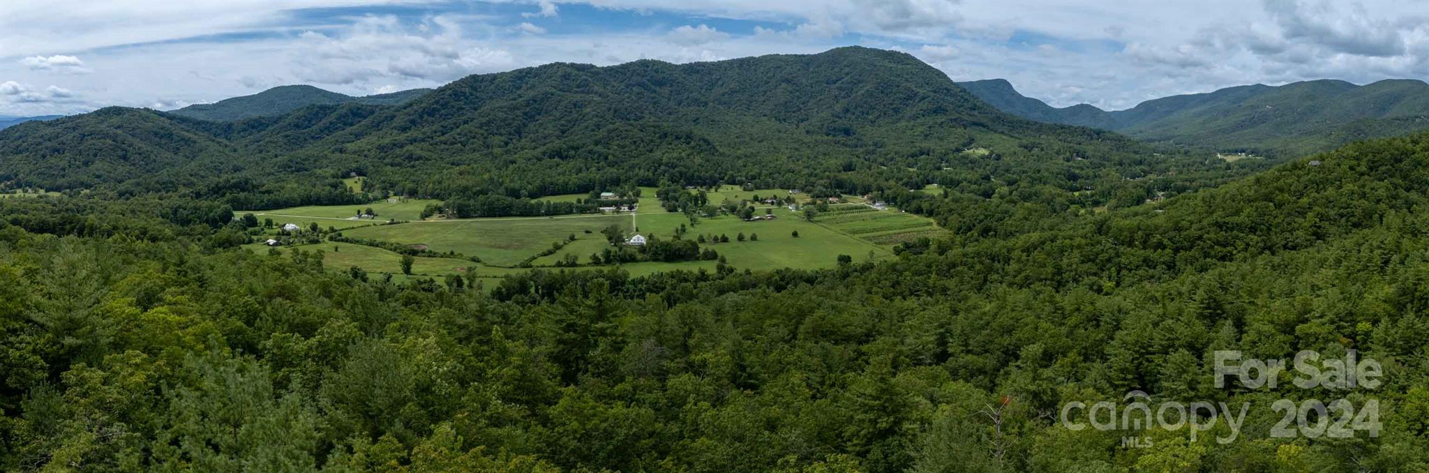 6786 Old Linville Road Marion, NC 28752 - Photo 6 of 33