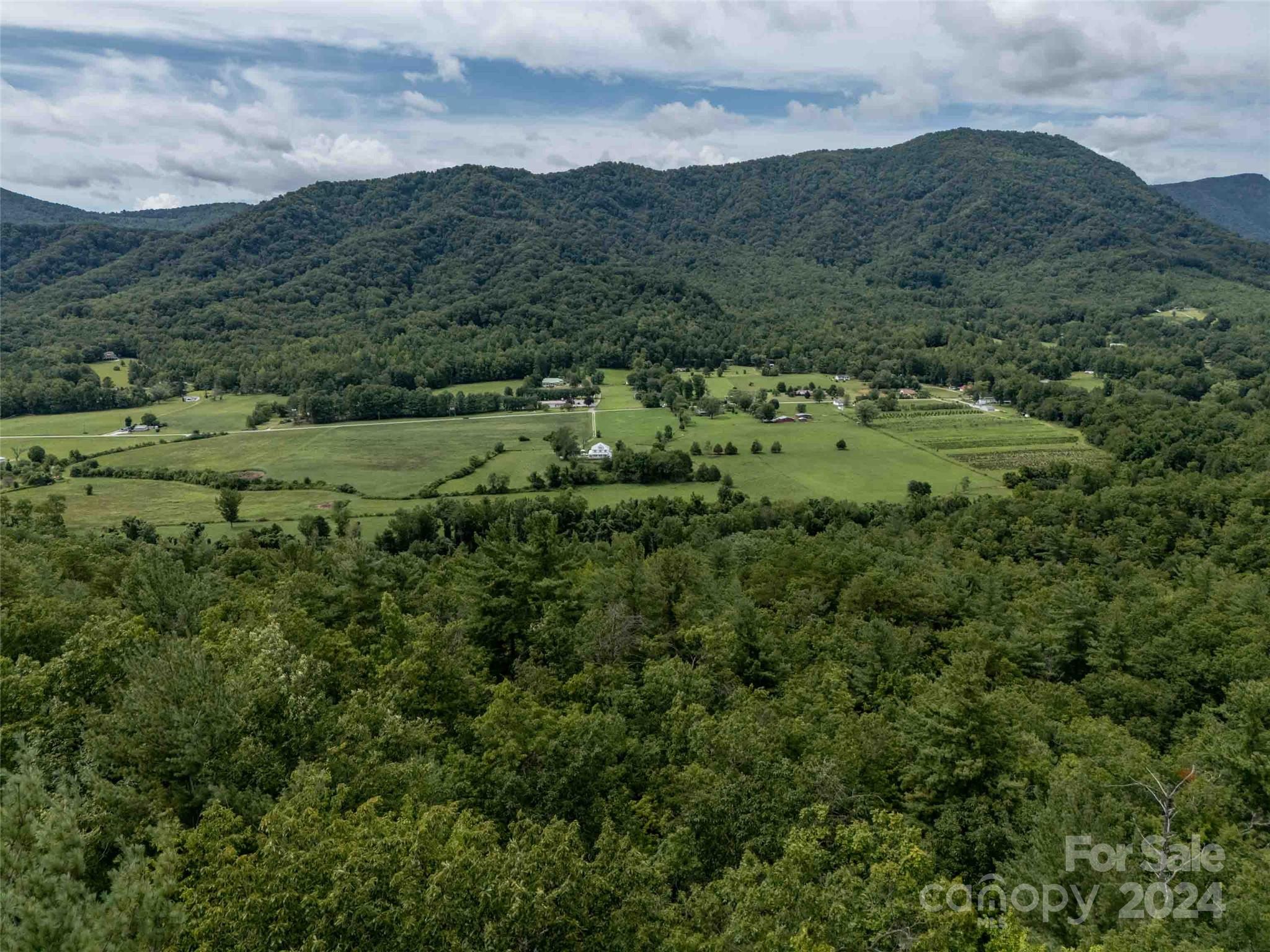 6786 Old Linville Road Marion, NC 28752 - Photo 7 of 33