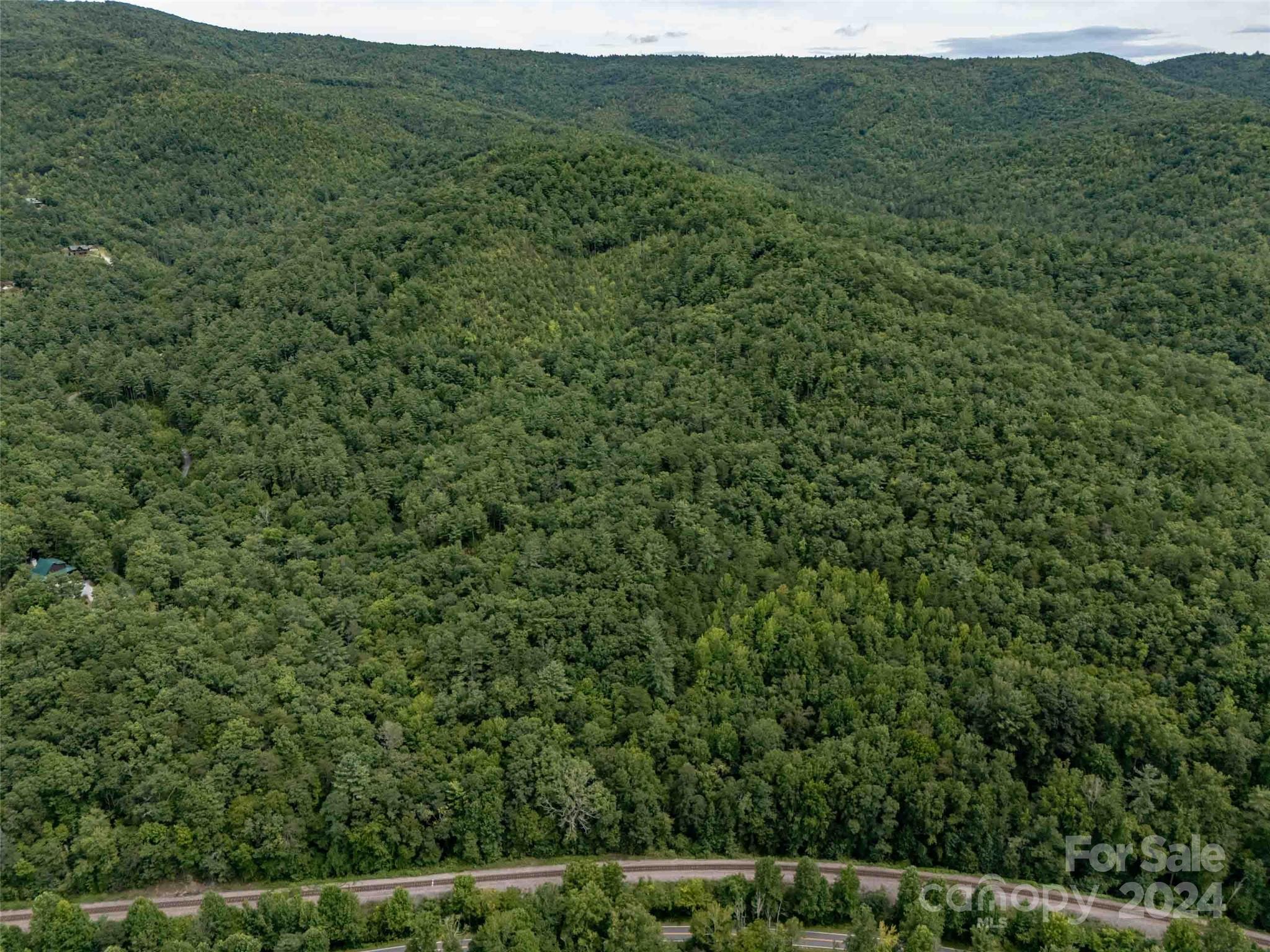 6786 Old Linville Road Marion, NC 28752 - Photo 8 of 33