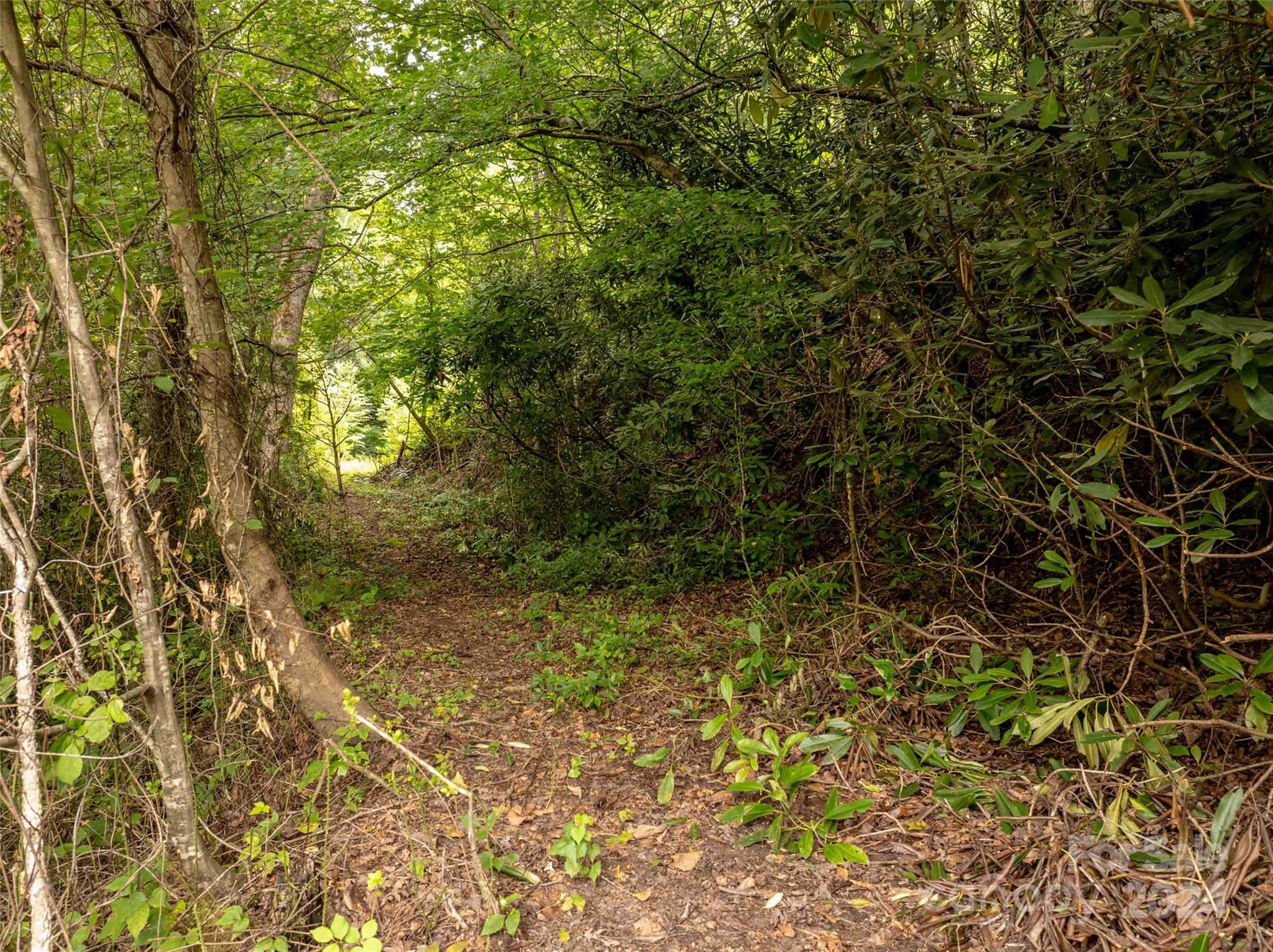 6786 Old Linville Road Marion, NC 28752 - Photo 9 of 33