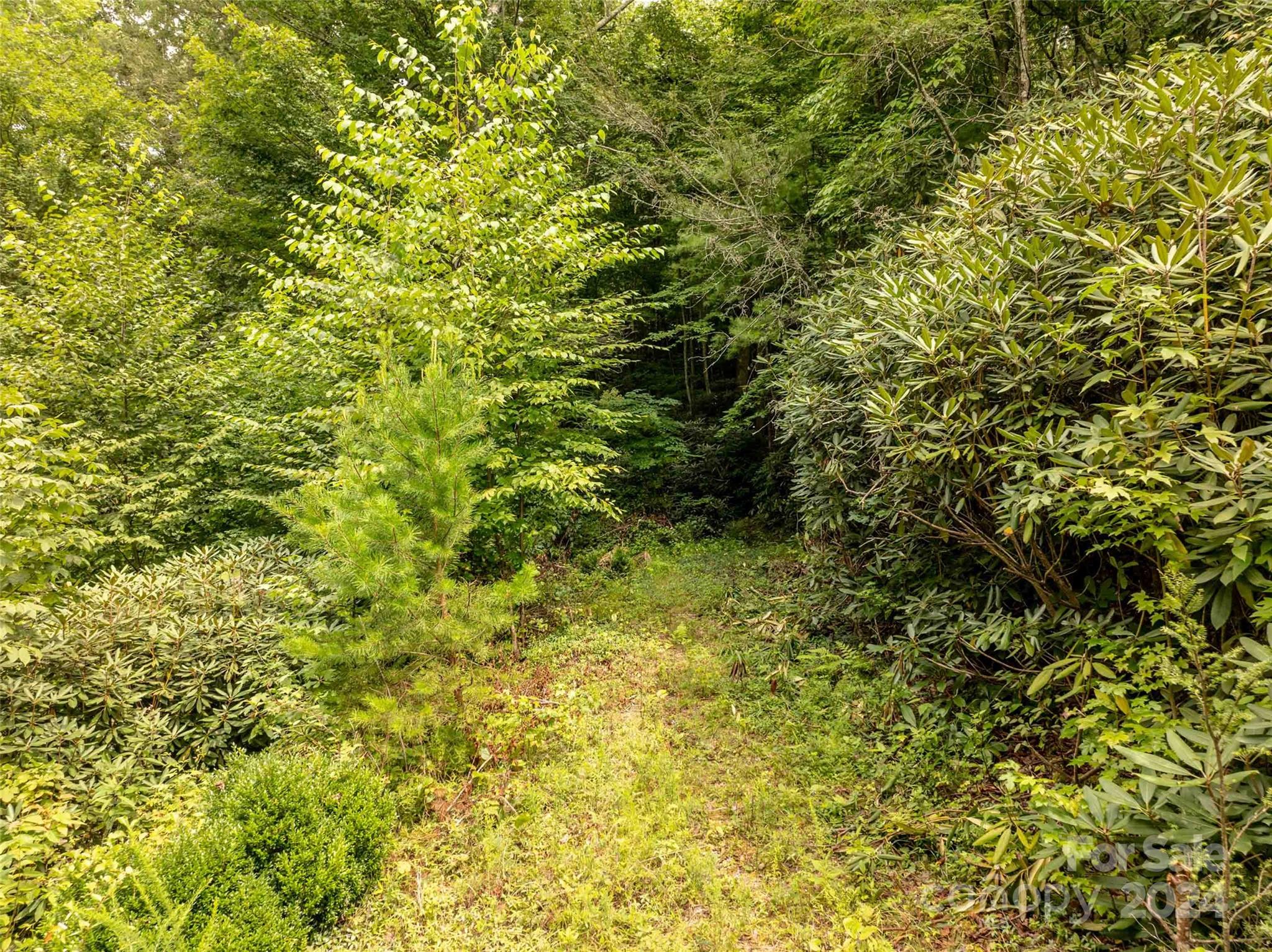 6786 Old Linville Road Marion, NC 28752 - Photo 10 of 33