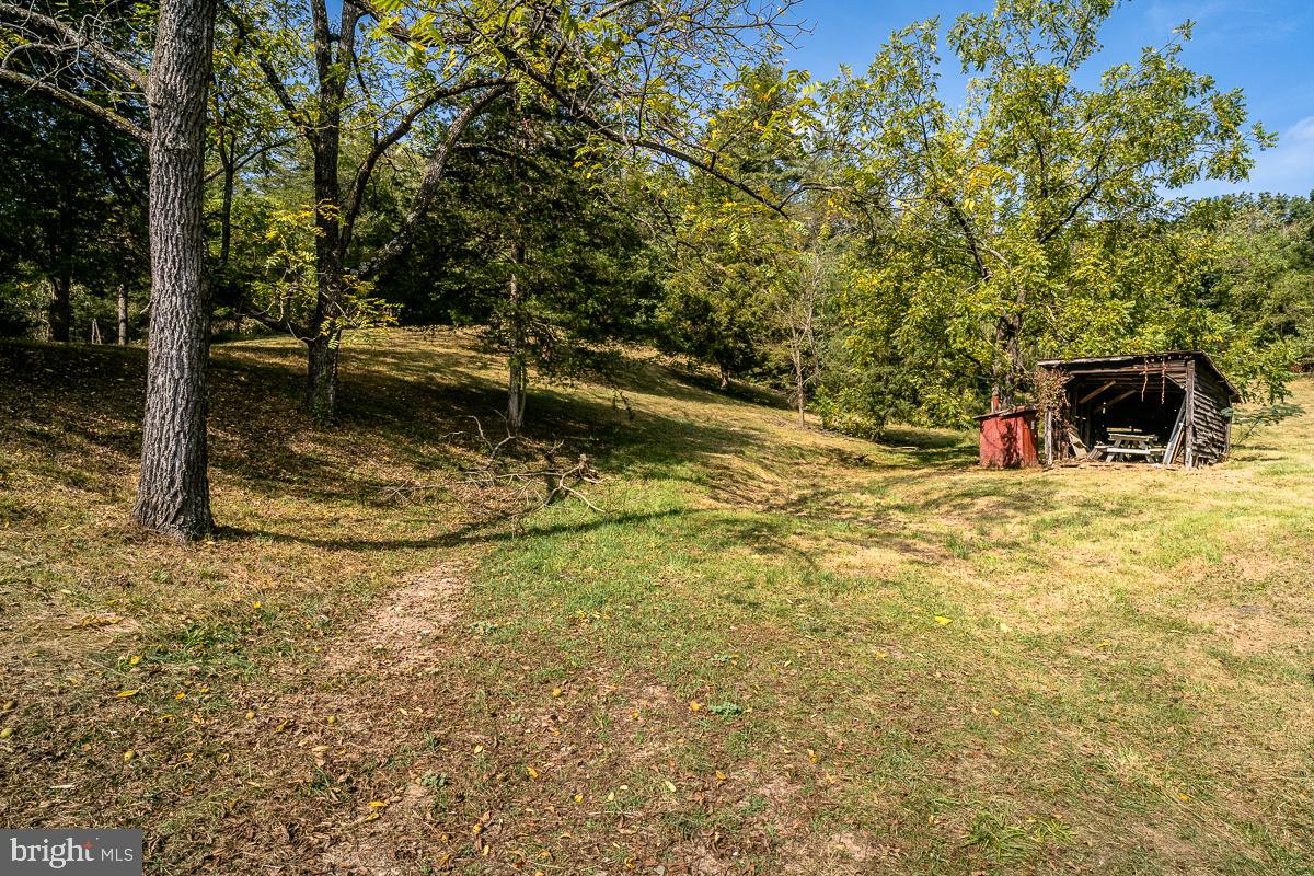 4771 Mill Creek Road Mount Jackson, VA 22842 - Photo 19 of 29 a view of swimming pool with an outdoor seating