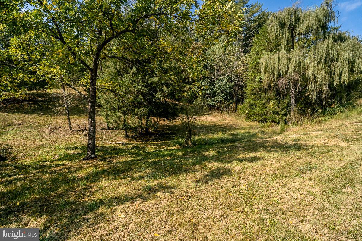 4771 Mill Creek Road Mount Jackson, VA 22842 - Photo 23 of 29 a view of a yard with a tree