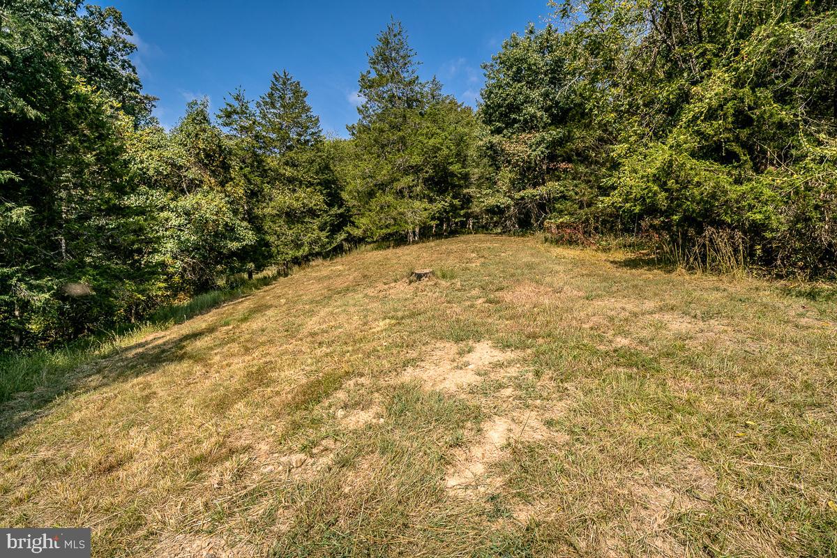 4771 Mill Creek Road Mount Jackson, VA 22842 - Photo 27 of 29 a view of a yard with trees