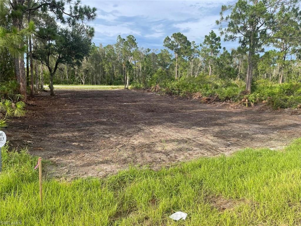 2712 Meadow Road Lehigh Acres, FL 33913 - Photo 2 of 6 a view of backyard with green space