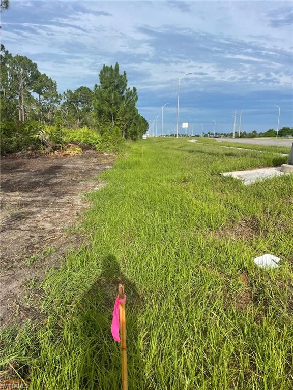 2712 Meadow Road Lehigh Acres, FL 33913 - Photo 3 of 6 a backyard of a house with lots of green space and trees