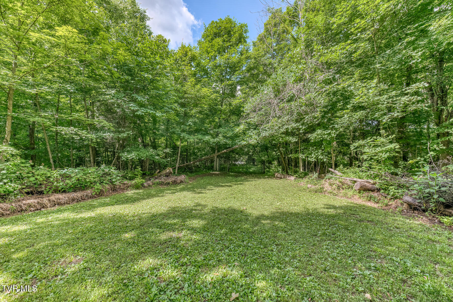 210 Telford Road Telford, TN 37690 - Photo 98 of 105 210 Telford Rd-76
