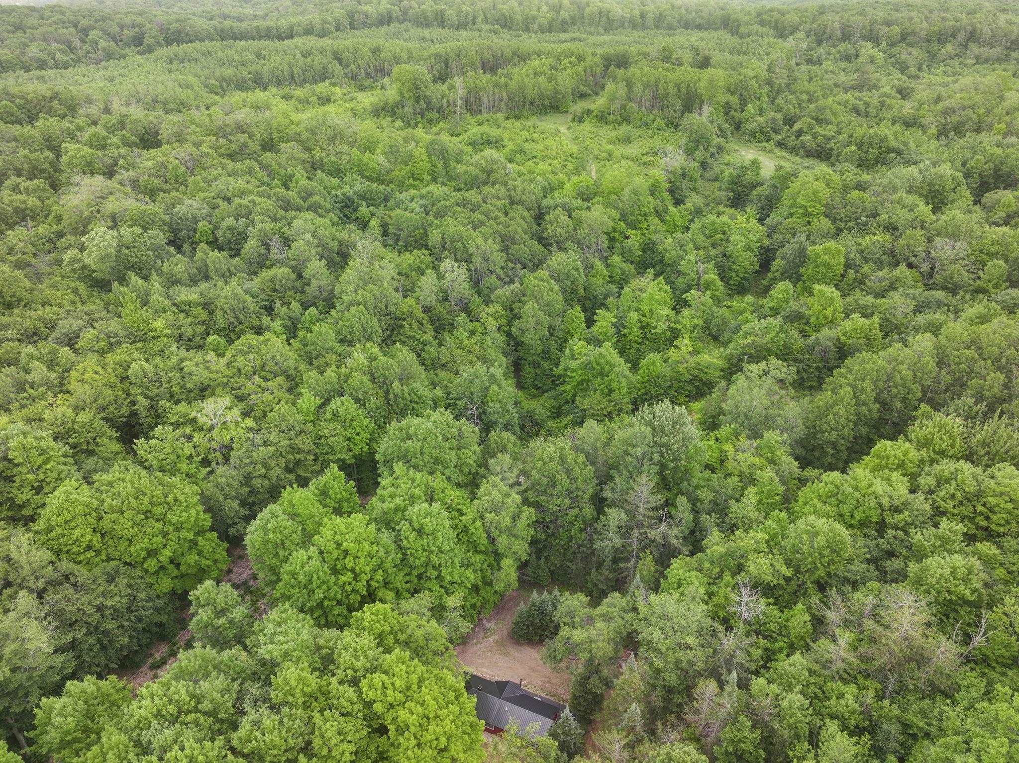 7979 North Turnerville Road Lake City, MI 49651 - Photo 27 of 35 1947489-7fe363da-dca7-4748-bc62-4b70bac29691.JPG