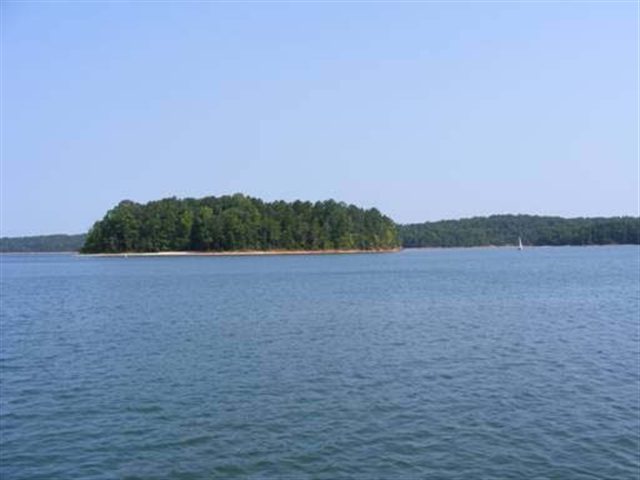 295 Collins Road Lavonia, GA 30553 - Photo 18 of 24 Gallery Image 18
