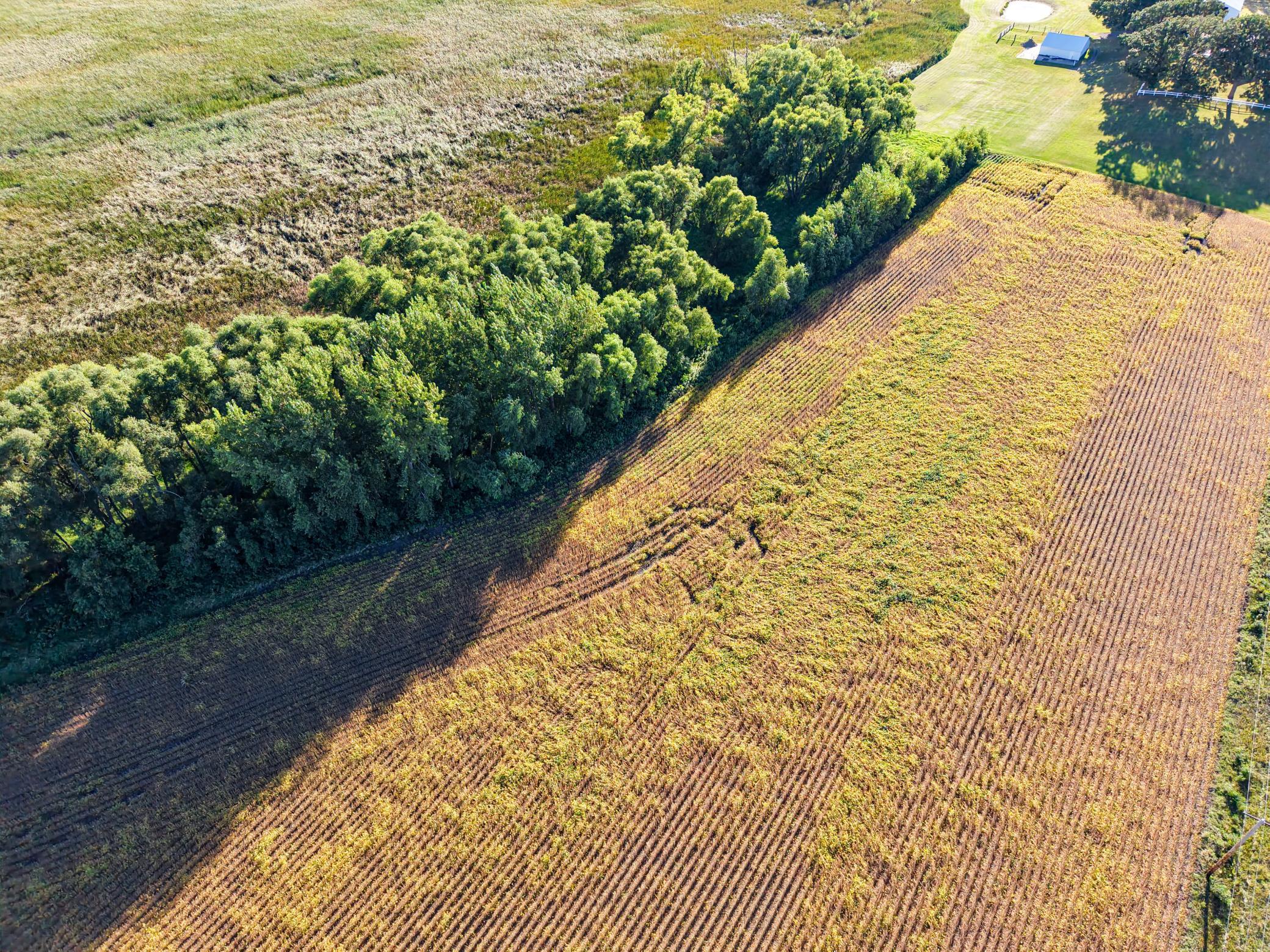 0 State Highway Nicollet, MN 56074 - Photo 5 of 37 Gallery Image 5