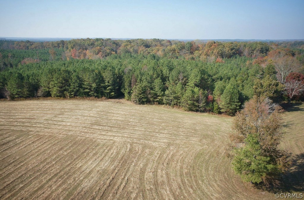 3005 Plank Road Kenbridge, VA 23944 - Photo 6 of 24 a view of an outdoor space and a yard