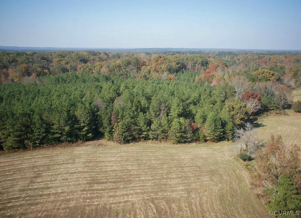 3005 Plank Road Kenbridge, VA 23944 - Photo 8 of 24 a view of mountain view