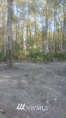 126 Chelsea Road Castle Rock, WA 98611 - Photo 24 of 34 a view of a yard with trees in the background