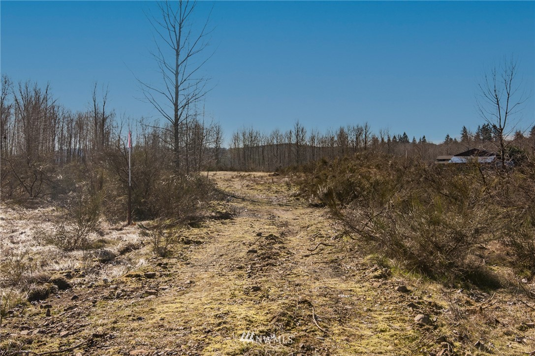 126 Chelsea Road Castle Rock, WA 98611 - Photo 26 of 34 a view of a yard with trees