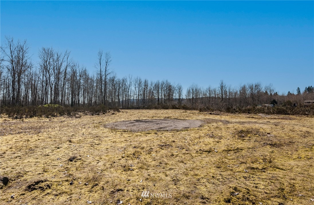 126 Chelsea Road Castle Rock, WA 98611 - Photo 27 of 34