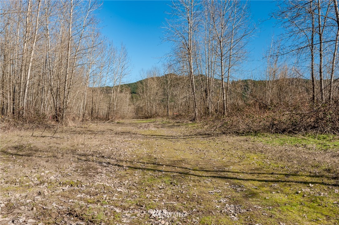 126 Chelsea Road Castle Rock, WA 98611 - Photo 33 of 34