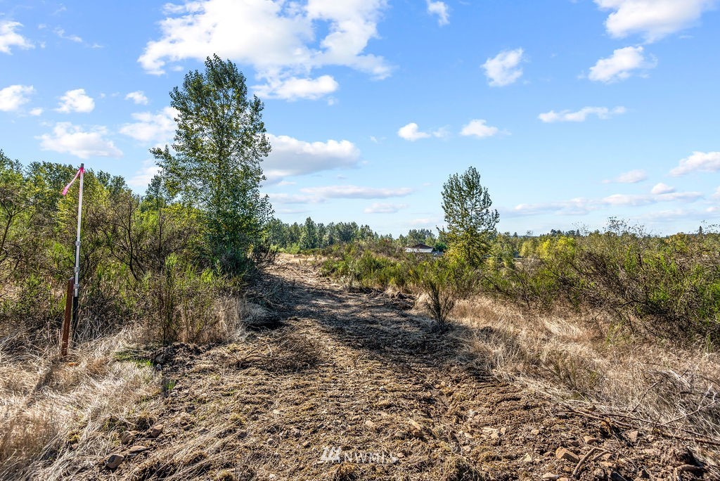 126 Chelsea Road Castle Rock, WA 98611 - Photo 10 of 34 a view of a yard with plants and trees