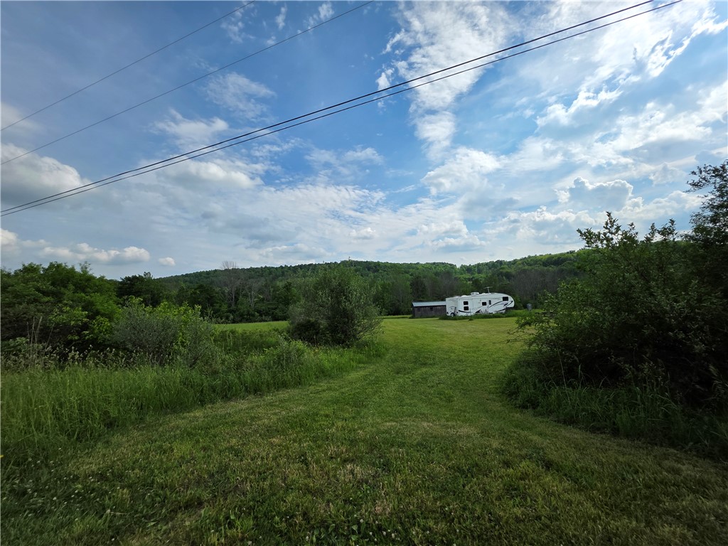 Potter Road Greenwood, NY 14839 - Photo 12 of 23