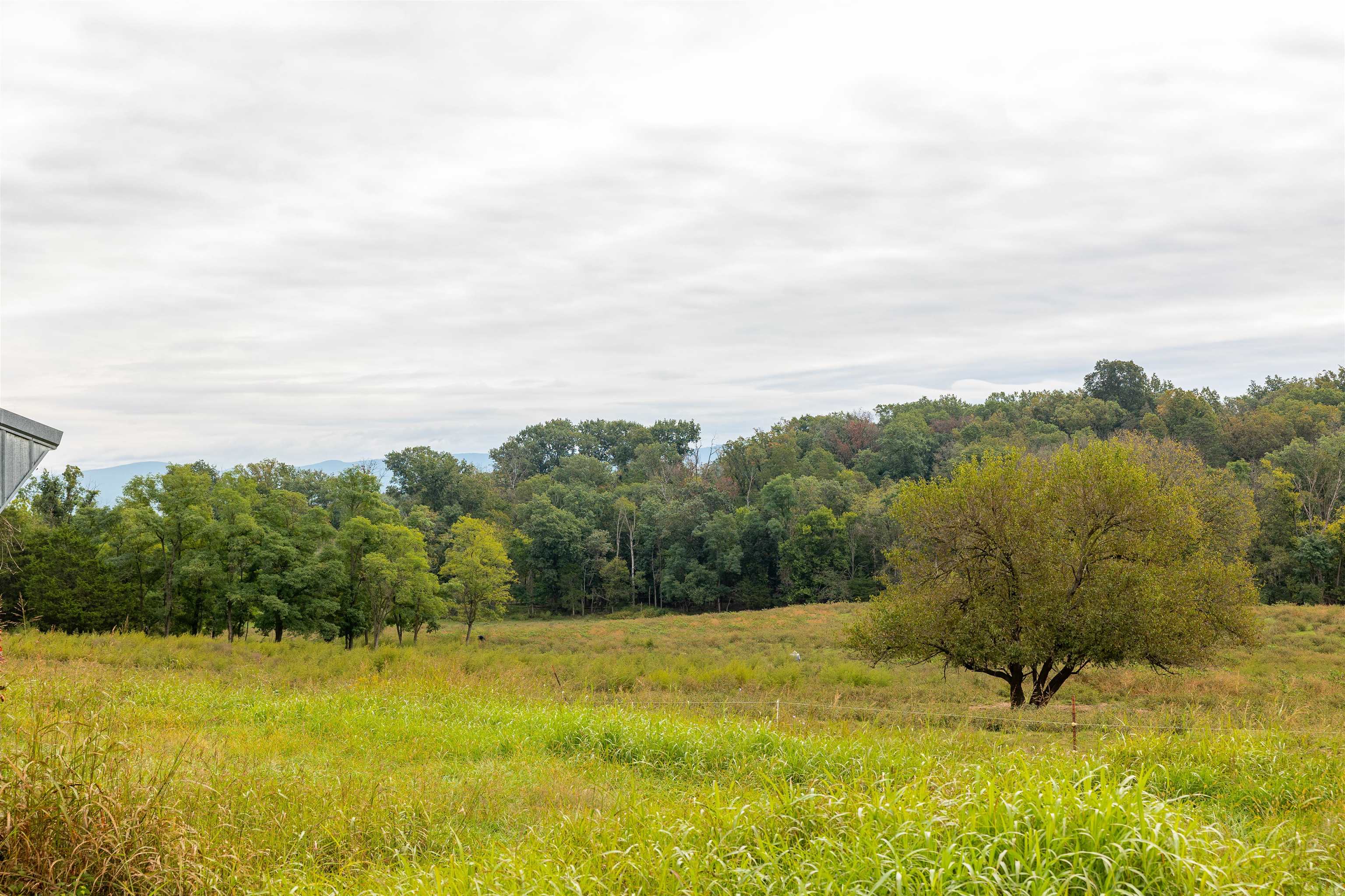0 East Point Road Elkton, VA 22827 - Photo 22 of 68 Gallery Image 22