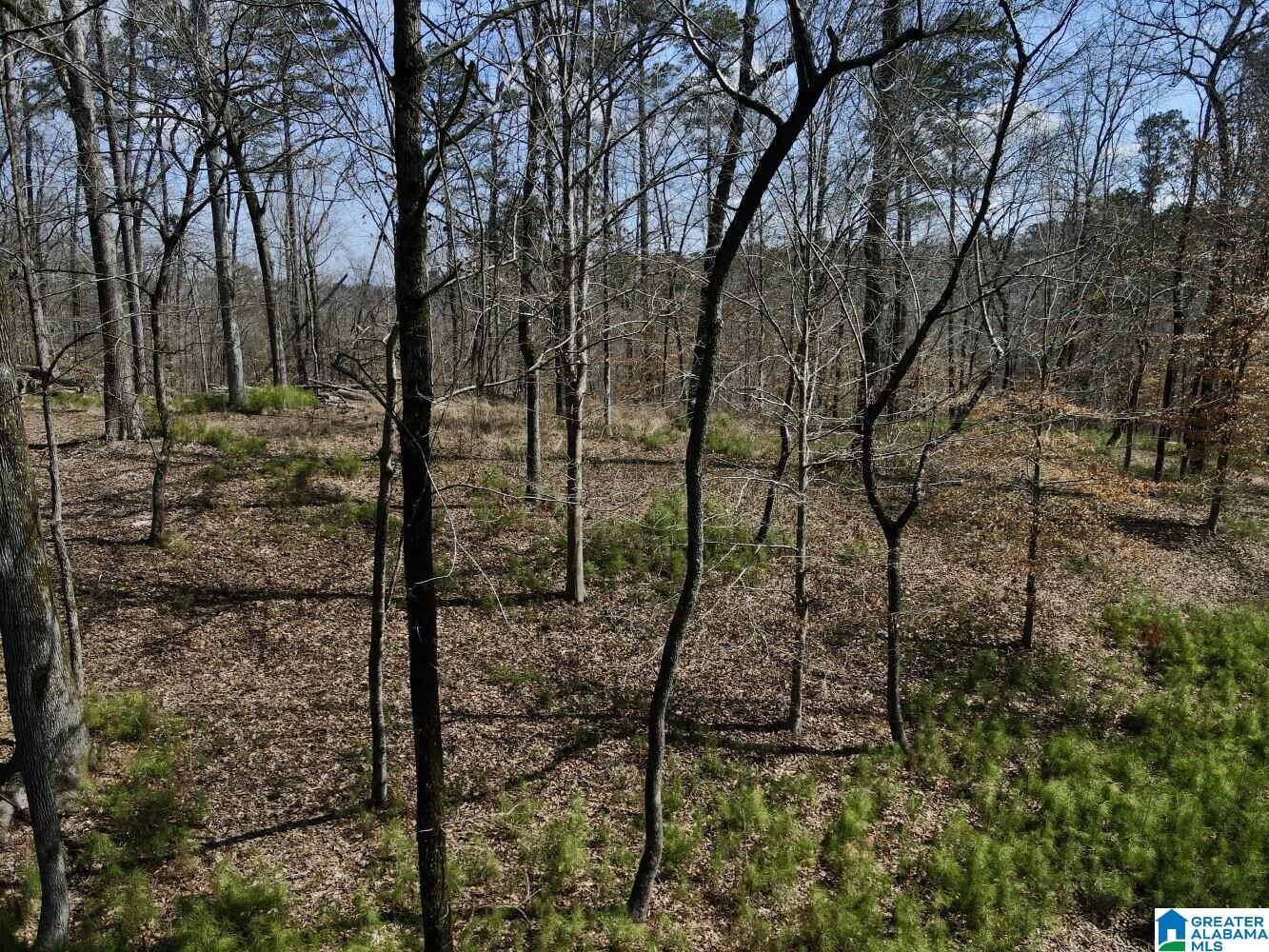 219 Pine Ridge Road, Unit 1 Bessemer, AL 35023 - Photo 27 of 46