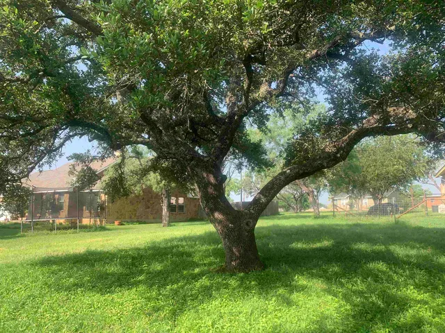 $59,000 | Llano Oaks Subd Llano Oaks Subd Llano Oaks Subd, Llano, TX 78643